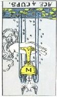 card6