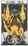 card19
